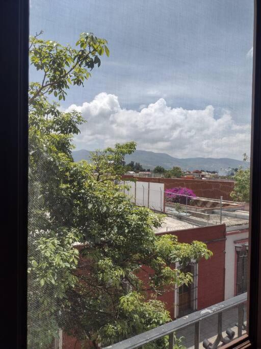 Appartamento M1010(7) Agradable departamento céntrico en Oaxaca Esterno foto